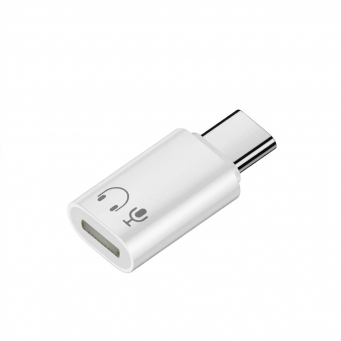 USB-C Devices Lightning Earphones Audio Adapter | Female Lightning to Male USB-C Converter | Music &amp; Calling Support | iCare